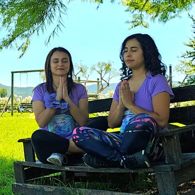 Movimiento Holístico